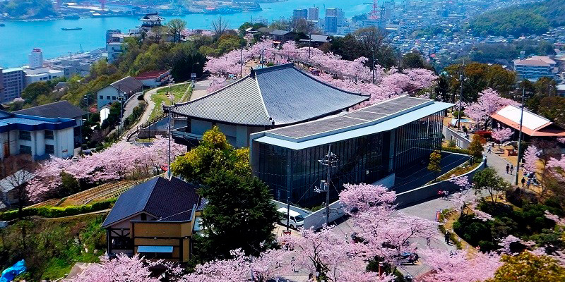 cerezo-7 cerezo-7