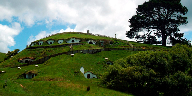 NZ NZ